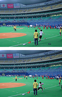 td_photo1.jpg